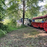 Idlewild