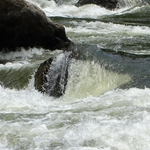 New River Gorge