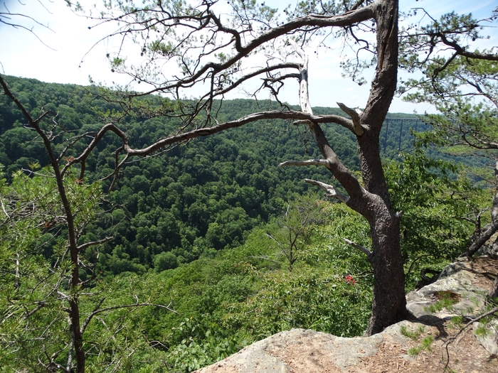 Long Point Trail