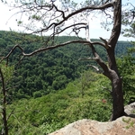 Long Point Trail