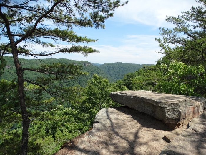 Long Point Trail
