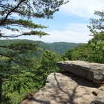 Long Point Trail