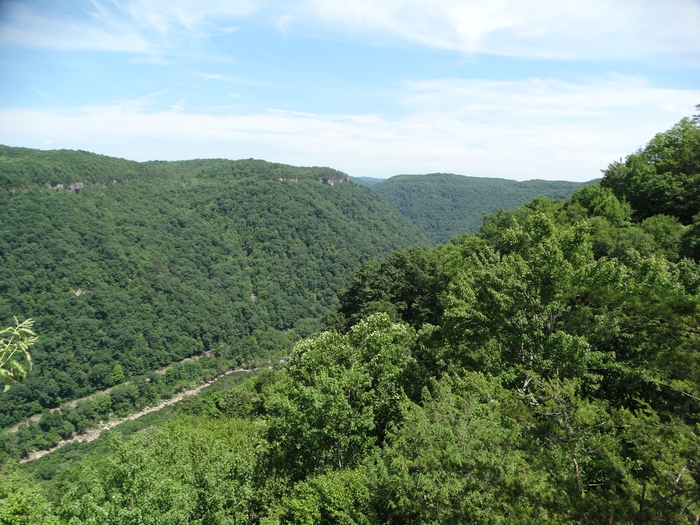 Long Point Trail
