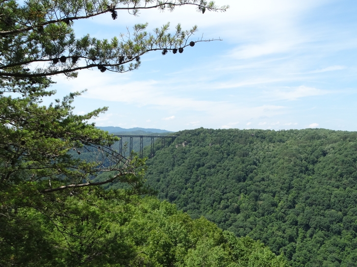 Long Point Trail