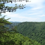 Long Point Trail
