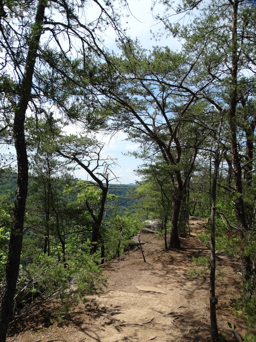 Long Point Trail