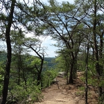 Long Point Trail