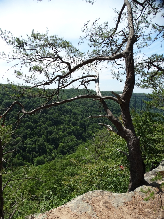 Long Point Trail