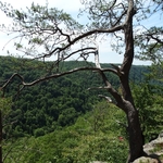 Long Point Trail