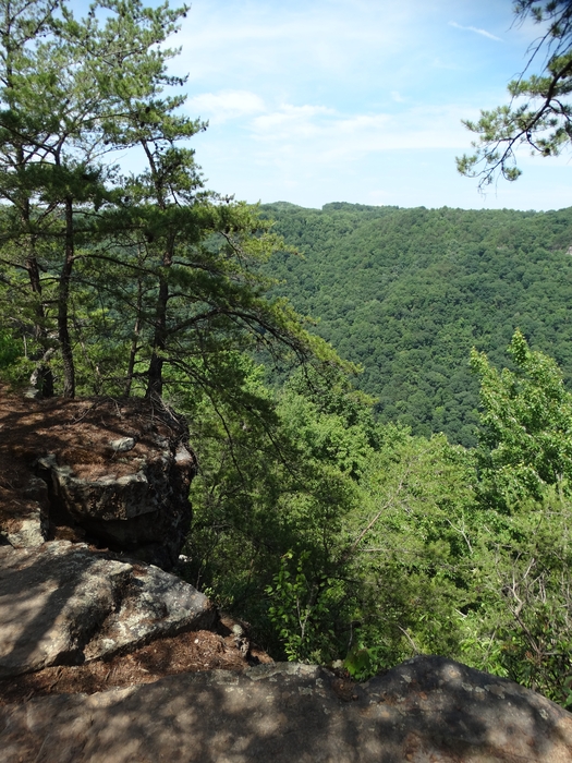 Long Point Trail