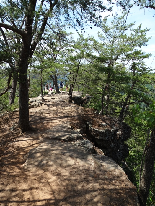 Long Point Trail