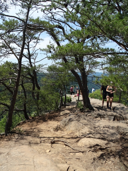 Long Point Trail